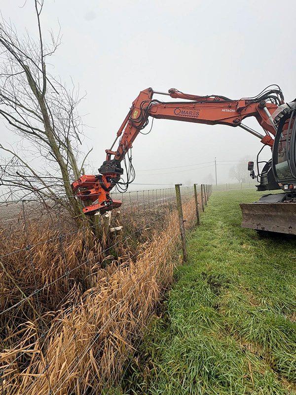 Machinaal bomen kappen